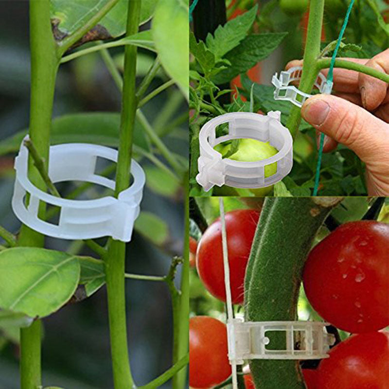 🍅🍅【200 ks】🌱Upevňovacia svorka pre rast sadeníc